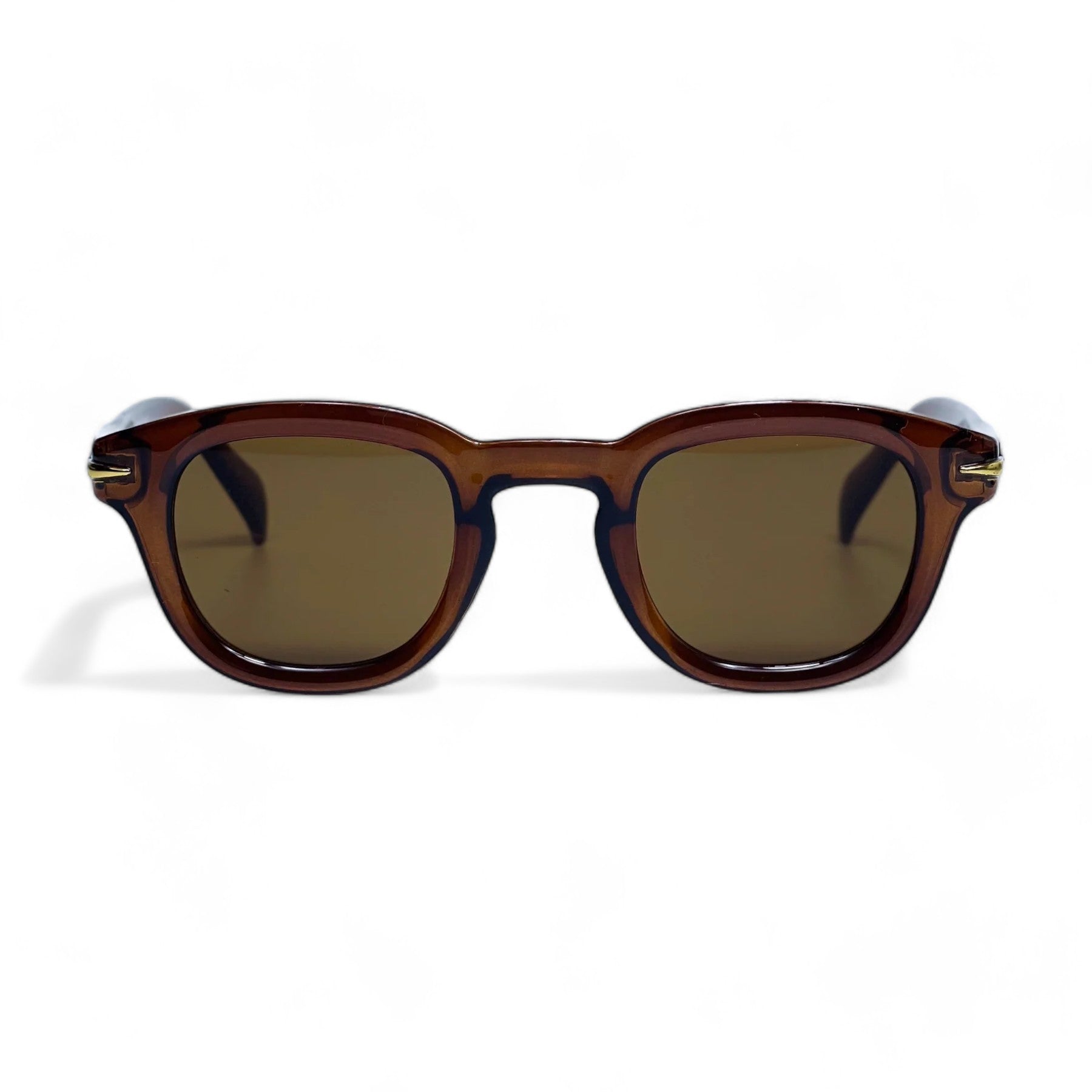SHADES "MODERN BROWN"